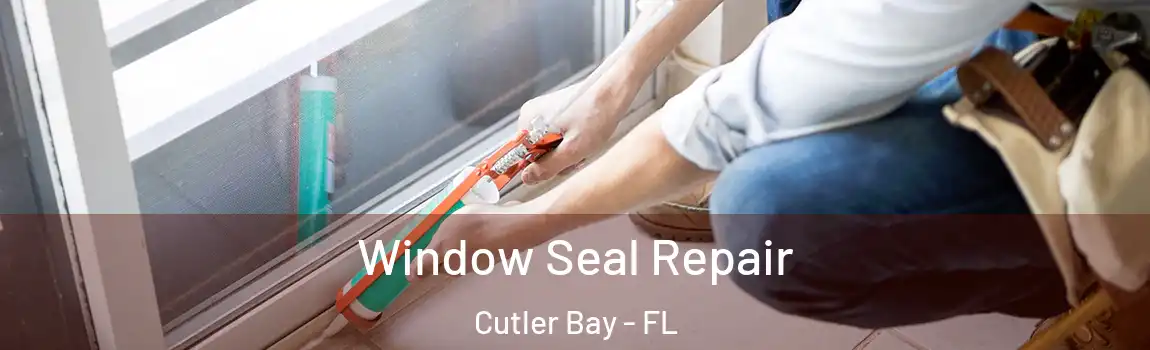  Window Seal Repair Cutler Bay - FL